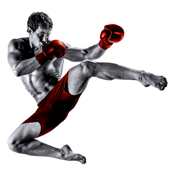 POWERFUL BOXING DATA SOLUTIONS